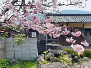 2-minute walk to the beach! Entire Private Japanese House ”Otoburi” | Max 10 Guests | BBQ Area - Image 4