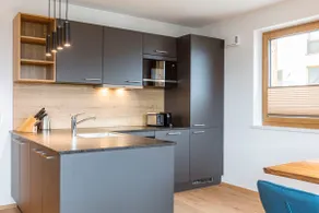 Apartment near the ski slope in Mittersill - Image 2