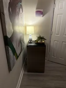 Cozy Tampa Apartment - Image 5