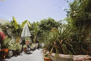 Chic Studio with Courtyard Garden - Image 5