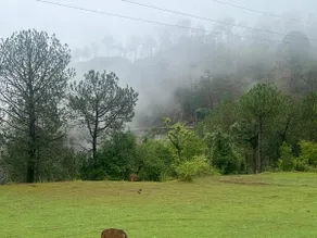 A Cozy Heaven in Nature's lap - Image 4
