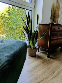 Cozy and central - Image 2