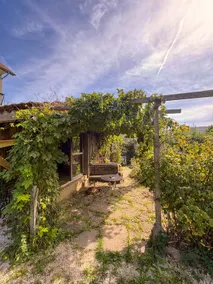 Wellness oasis in Wenslingen - open kitchen, balcony - Image 4
