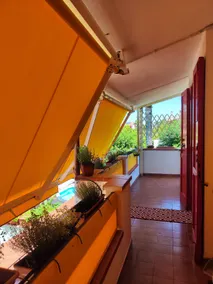 The Snail House - Image 5