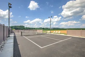 Modern Farmhouse: Pool, Hot Tub & Pickleball - Image 3