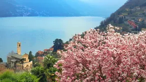 Lakes Hideaway - wonderful view - quiet - Image 2