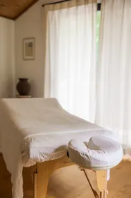 Wellness Retreat | Sauna, Ice Bath, Hot Tub & Spa - Image 2