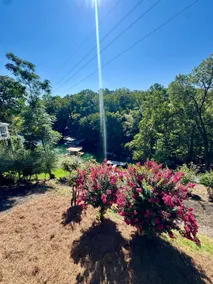 The Richard on Lake Lanier - Image 5