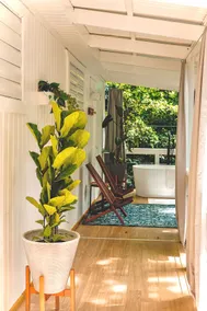 Casa Miguel Apt. Connection to Nature - Image 3