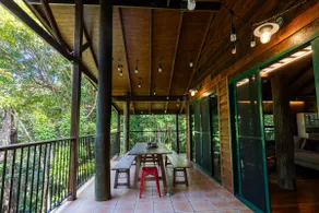 TreeTops by the Sea - Image 3