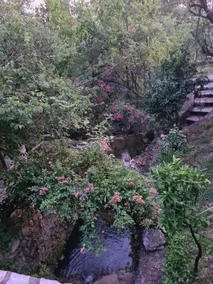 Hidden Gem Villa - Image 4