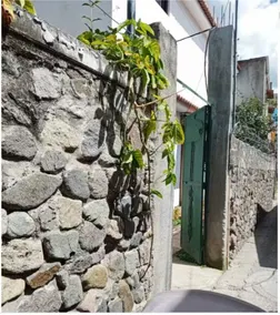 Casa Edalem - Image 4