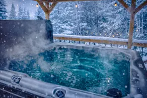 New~Hot Tub~Deck TV~Knotty & Nice - Image 3