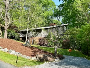 Tree Haven - Image 4