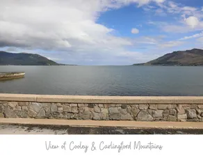 Bay View Luxury Apartment (Adjacent Apt available) - Image 4