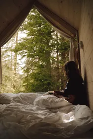 Forest Cabin - Image 4