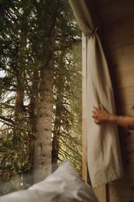 Forest Cabin - Image 5