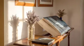 Art, Design & Privacy Surrounded by Nature - Image 5