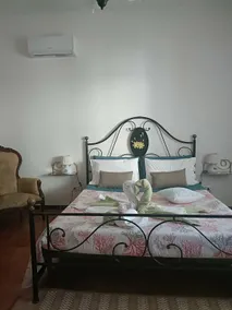 starfish house - Image 4
