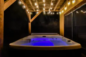 Cabin for 12 Hot Tub & Pets - Image 3