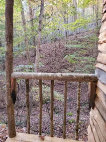 Secret Wilderness RealTree Cabin 5 - Image 3