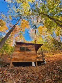 Secret Wilderness RealTree Cabin 5 - Image 2