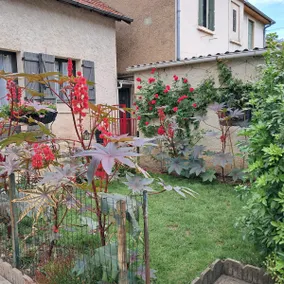 Haus mit Hof und Terrasse in einer ruhigen Straße vor den Toren des historischen Zentrums - Image 5