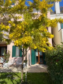 Appartamento Laguna - Image 5