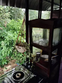 AntiqueWooden #Kottayam #Kerala #Canopy TreeHouse - Image 2