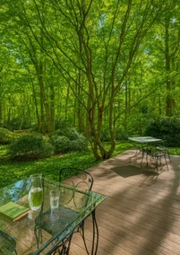 Plans for Fall? Book The Winding Rock House Today! - Image 5