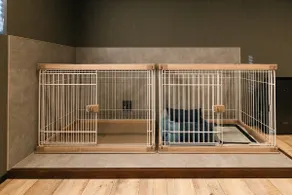Dog-friendly building | Kotohira's whole building | Parking lot | 70㎡ | Maximum 4 people 2 dogs | Room Earth - Image 3