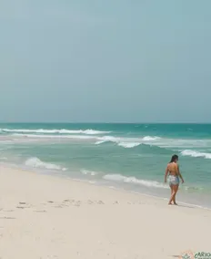 Beach house / dry beach - Image 3