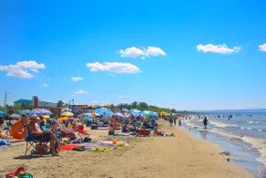 5BR Wasaga Retreat | Sleeps 14 | 6 Mins to Beach - Image 3