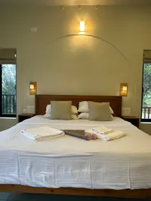 Nahar (Serene Pool villa) - 8.5 Acres - Image 5