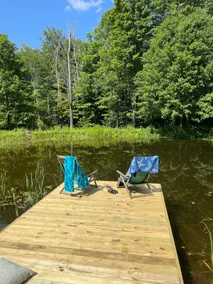 Fork Mountain Retreat - Image 5