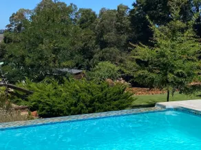 Acacia Country Garden Cottage - Image 5