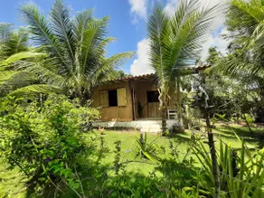 Folha da Bananeira Trancoso/House in Trancoso - Image 3