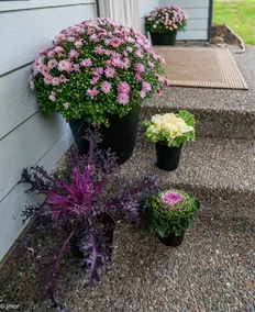 Muriel's Place, Kingston, WA - Image 2