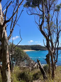 Kiki's Beach House - Image 4