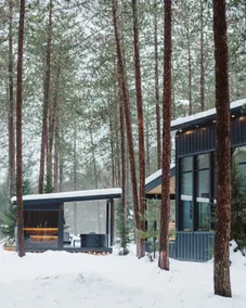 Black Fox Cabin with Private Nordic Spa - Image 2