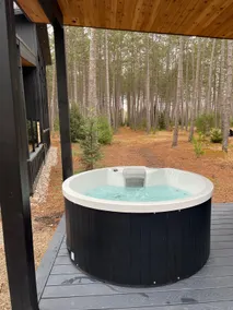 Black Fox Cabin with Private Nordic Spa - Image 4
