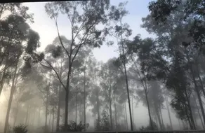 House by Lavender Lane - Forest Views, FREE Parking - Image 3
