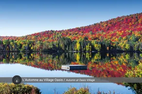 Le Loup - Pool, lake, mountain bike and hiking - Image 3