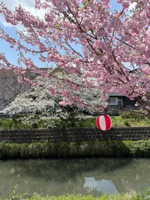 10 minutes from Hikone Castle (by car)/Up to 6 people/Kyoto 1 hour/Private house/2 free parking spaces for regular cars + 1 small car - Image 4