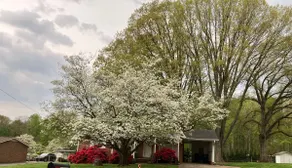 Cozy 3BR Retreat | Trails, Trees & Family‑Friendly - Image 4