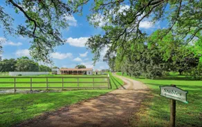 Luxury 6 Bedroom Vintage Estate sitting in 11Acres - Image 3