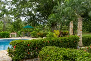 Paradise Breeze - Image 2