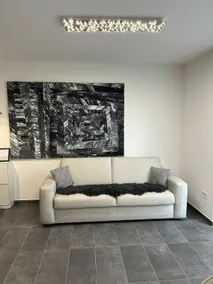 Swiss Star Apartment - Image 3