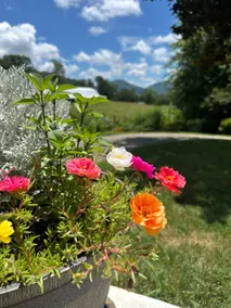 Peaceful-Mountains-Hiking-Asheville-Full Kitchen - Image 2