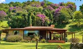 Canto do Sagui in the Serra da Mantiqueira - Image 4